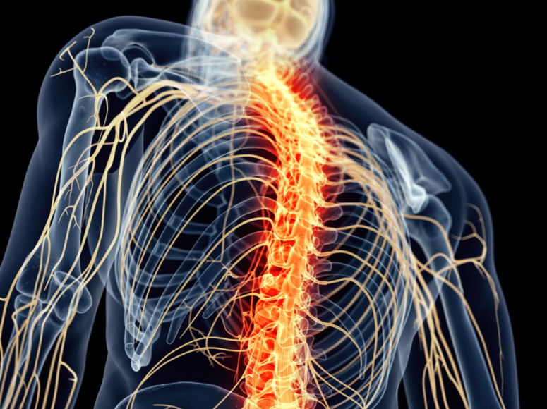 Movilización neuromeníngea