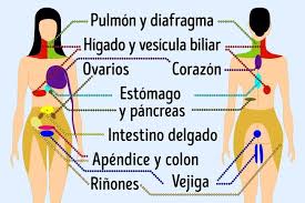 dolores referidos viscerales