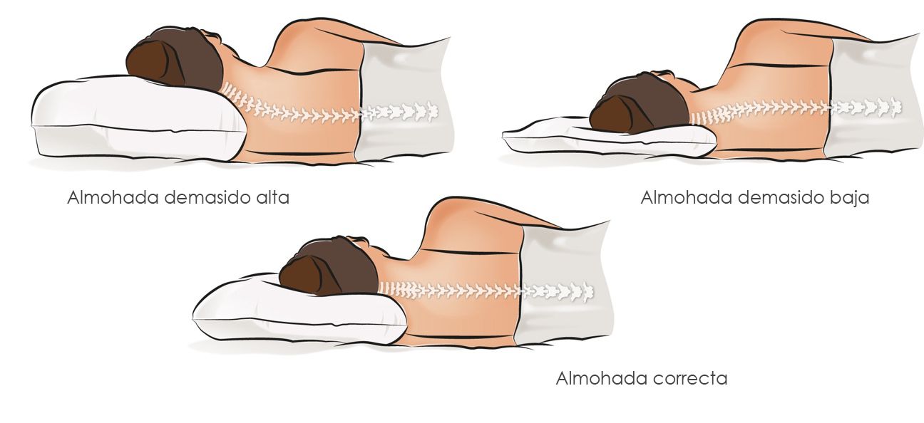 😴 Almohada alta, baja o ninguna. ¿Cuál es mejor? 