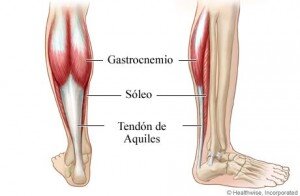 imagen del tendon de aquiles